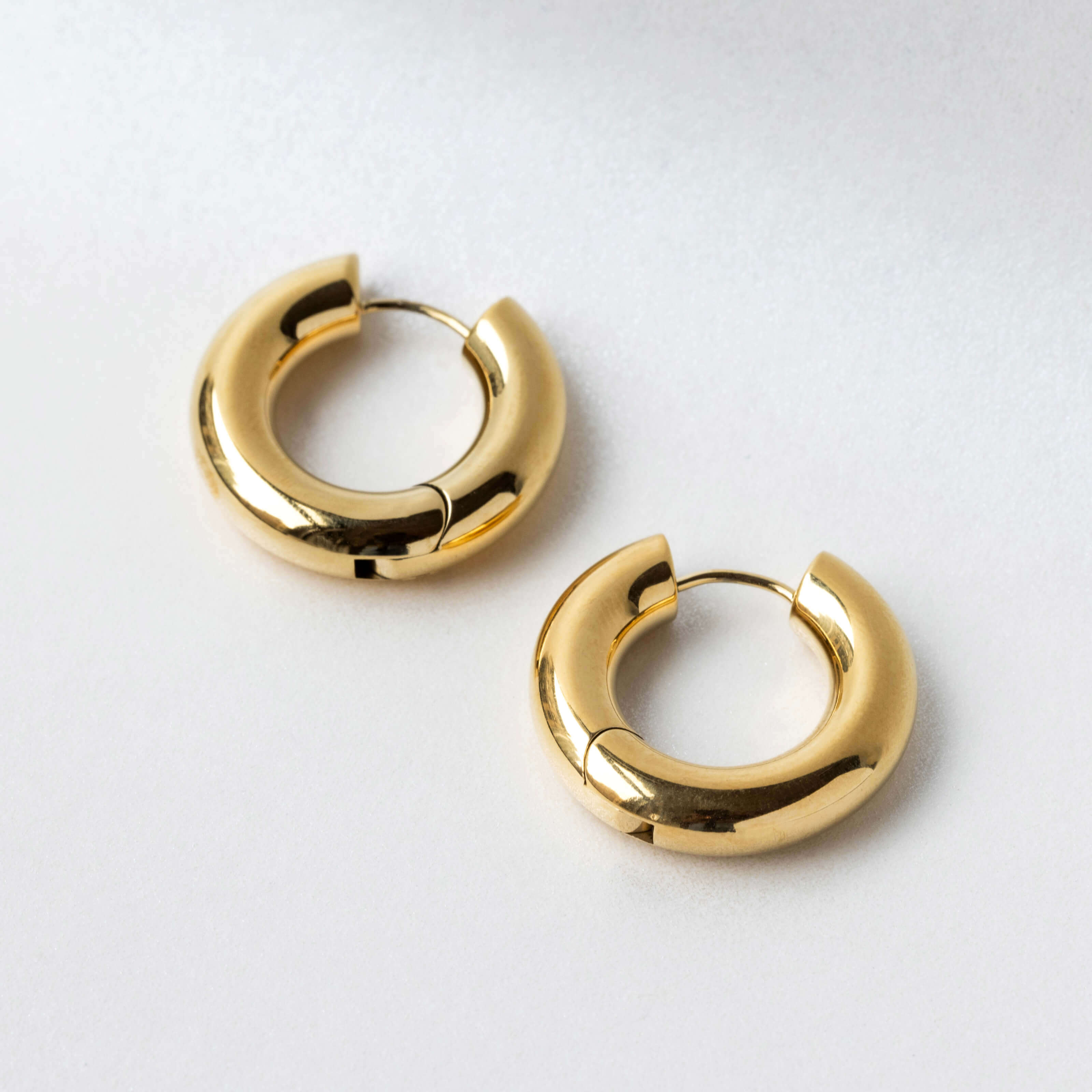 Every Body Hoops in Titanium